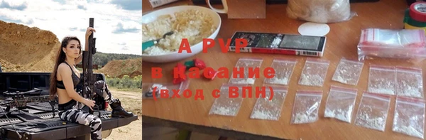 шишки Покачи