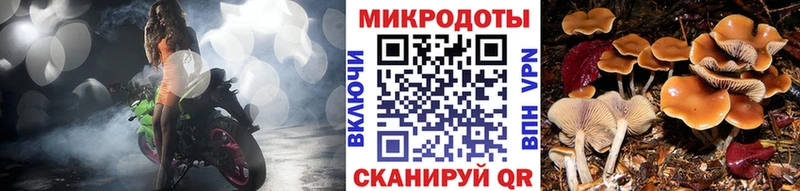 нарко площадка какой сайт  где можно купить наркотик  Исилькуль  Псилоцибиновые грибы Psilocybine cubensis 
